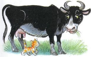 котенок и корова