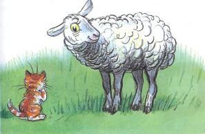 котенок кот и овца овечка