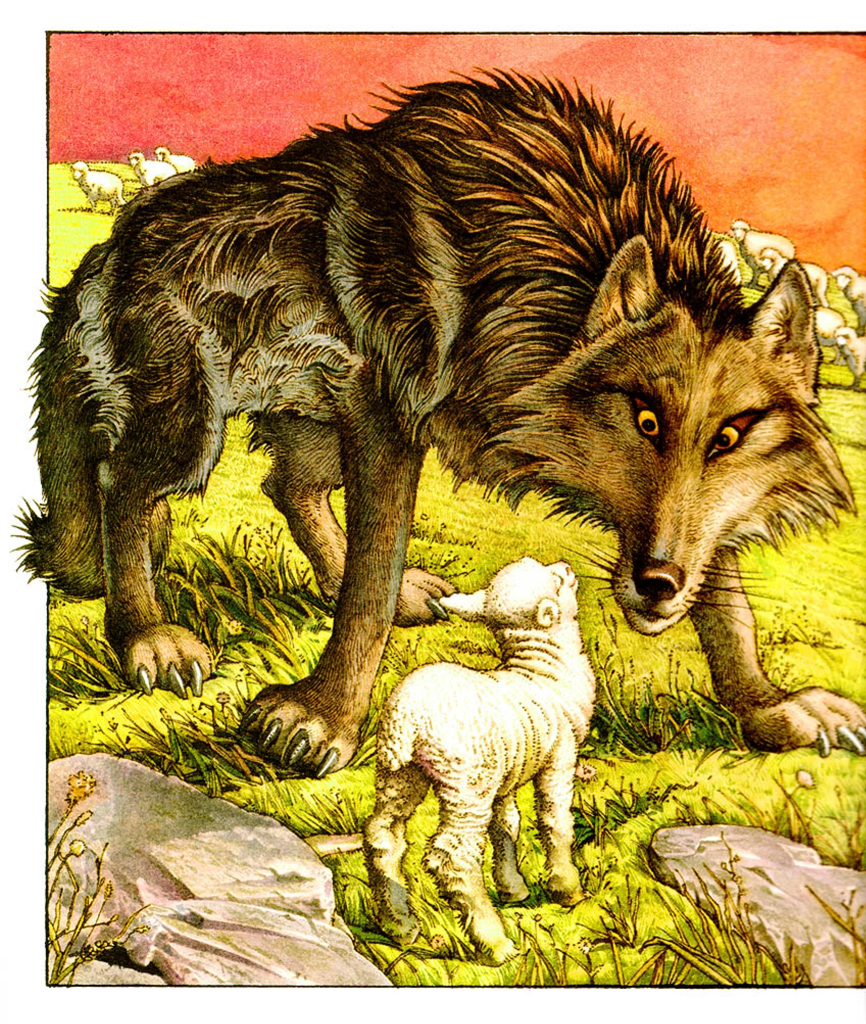 Овечка и волк - украинская народная сказка