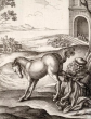Лев и конь, Басня