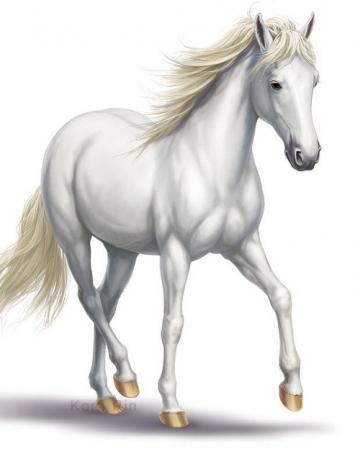 Белая лошадь, Рассказ