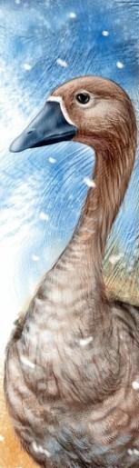 Чудесное путешествие Нильса с дикими гусями | Изображение - 10