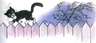 черный кот ходит по забору
