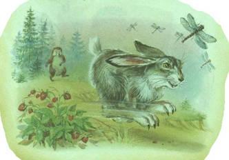 Сказка Еж и заяц