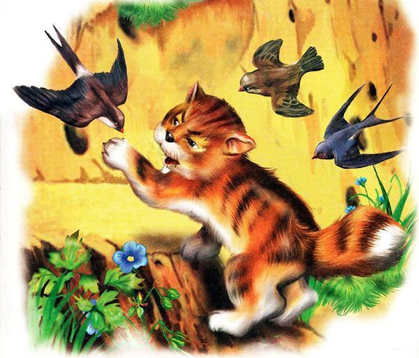 кот и птицы