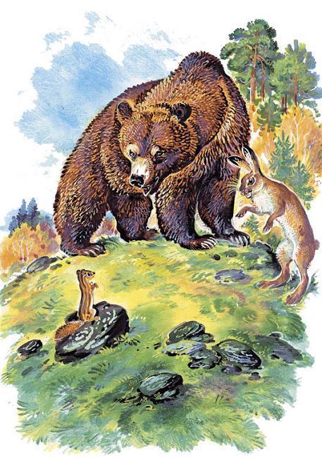 медведь и заяц на опушке