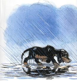 щенок, собака, пес, дождь, мокрый, пес