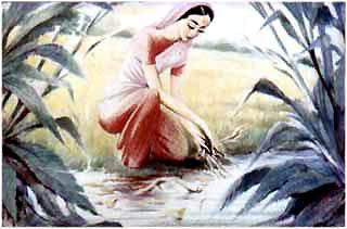 Мотхо присела на берегу ручья и стала вынимать из него листья и ветки