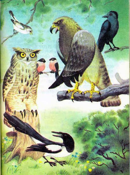 птицы собрание сорока сова орел скворец