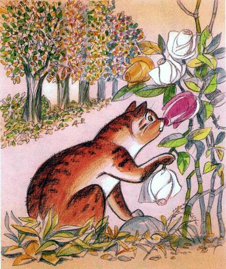 кот нюхает розу