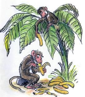 обезьяны, едят, бананы, пальма