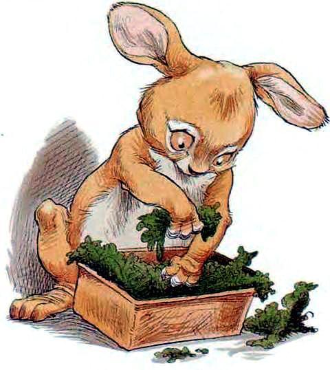Кролик и короб с травой