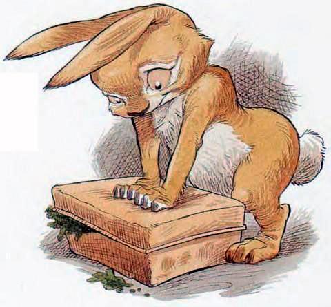 Кролик закрывает коробку
