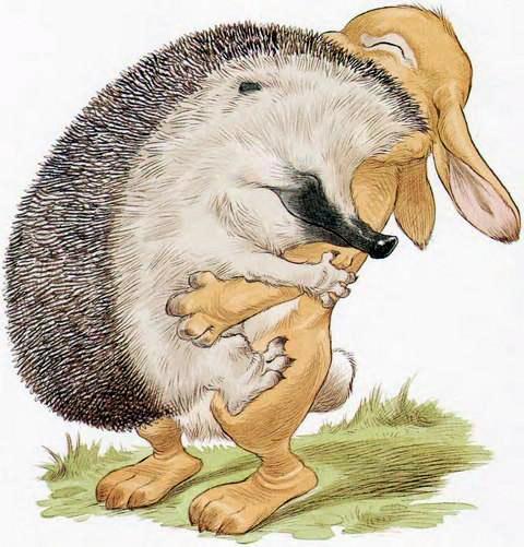Ёжик и Кролик обнимаются