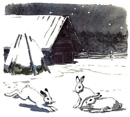белые зайцы на снегу у избы