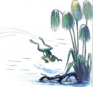 лягушка лягушонок в воде озере болоте