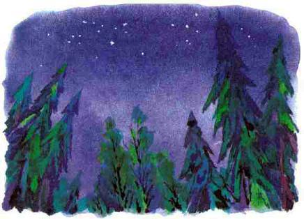 ночное небо в лесу