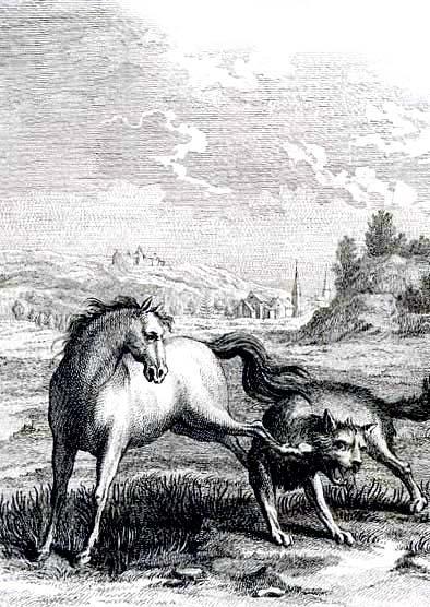 Волк и конь