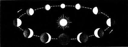 Фазы Меркурия или Венеры, какими их видит наблюдатель с Земли.